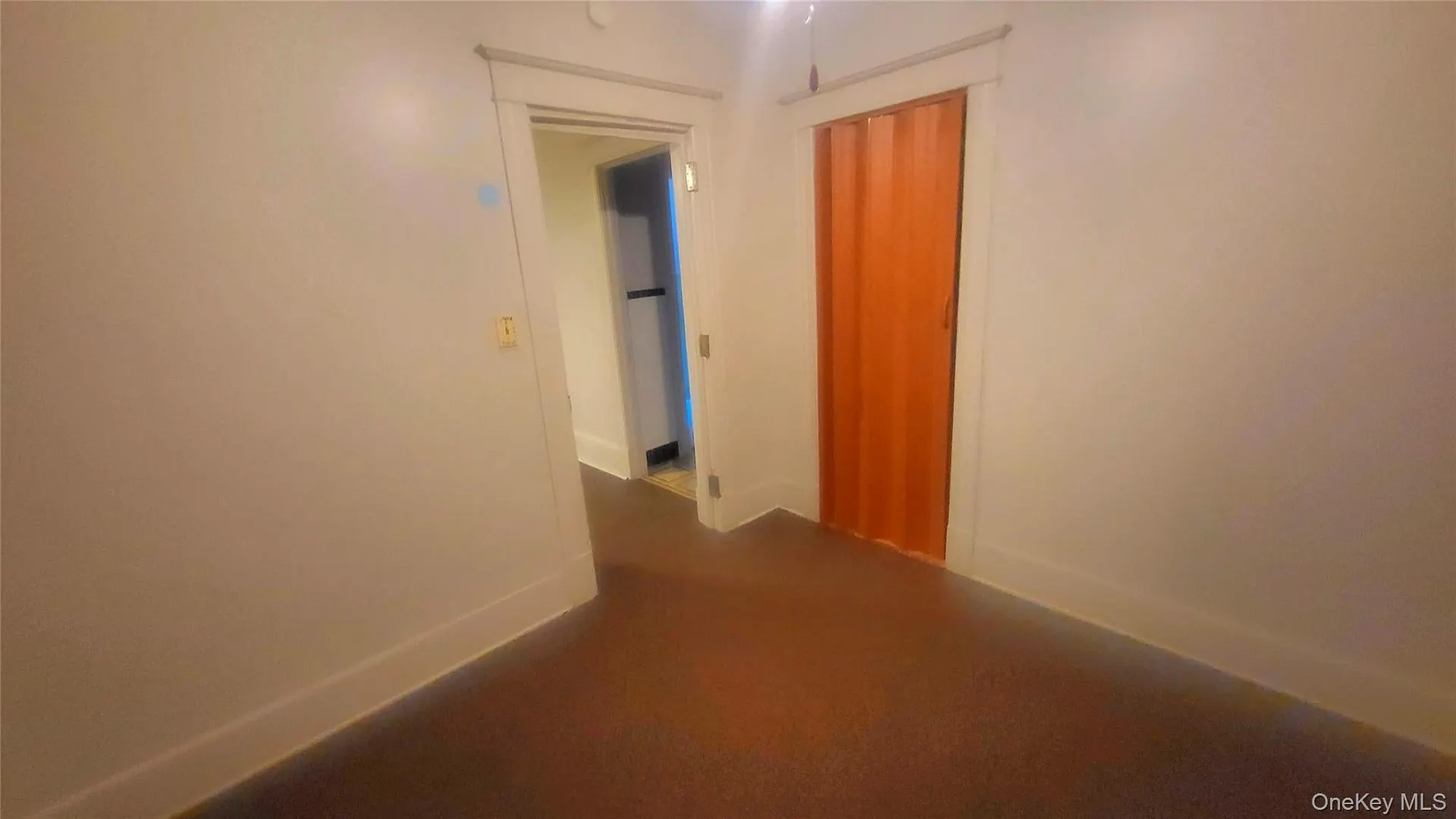 319 Mansion Street  #1 Photo 5