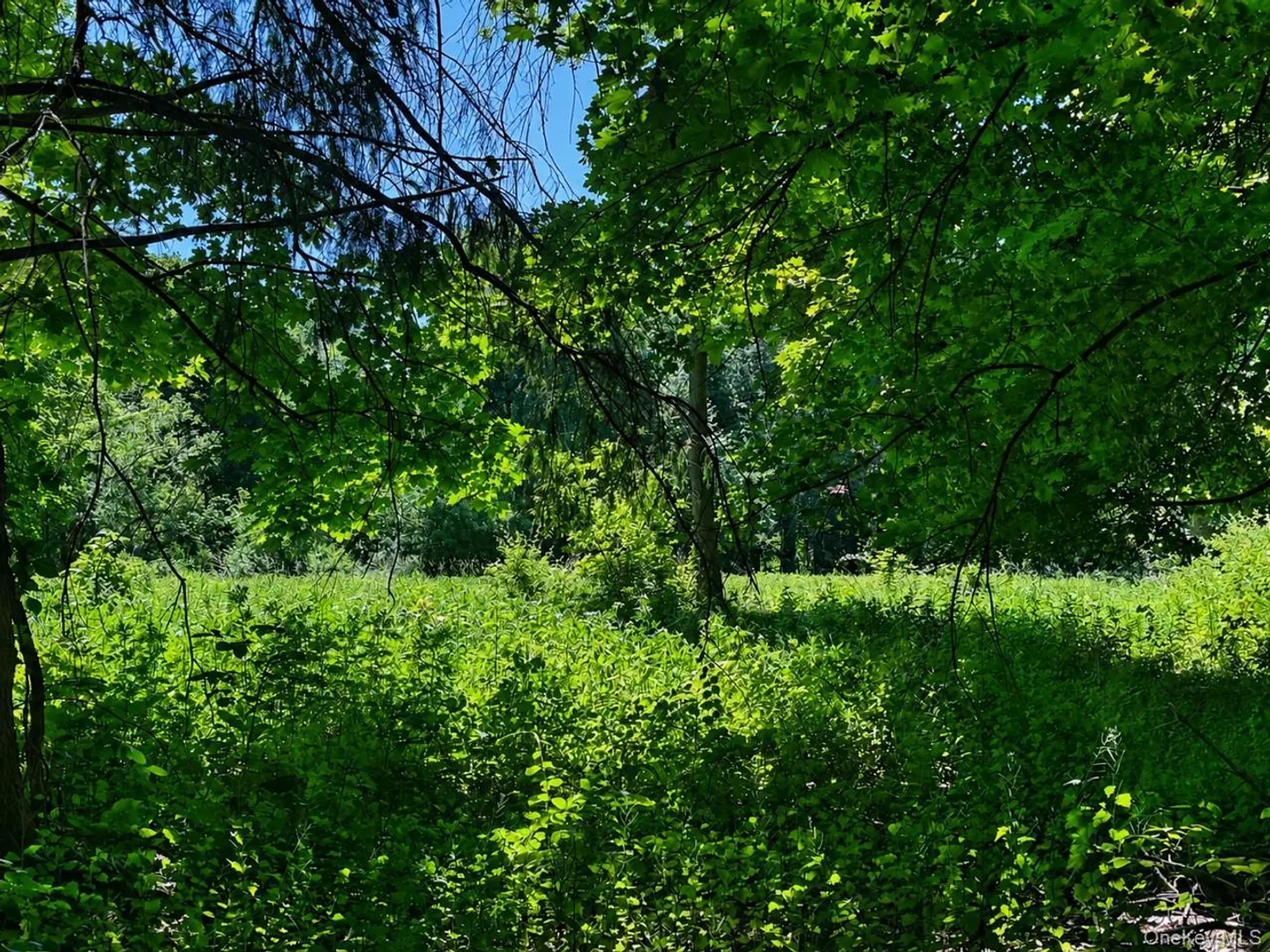 Route 55 Photo 9