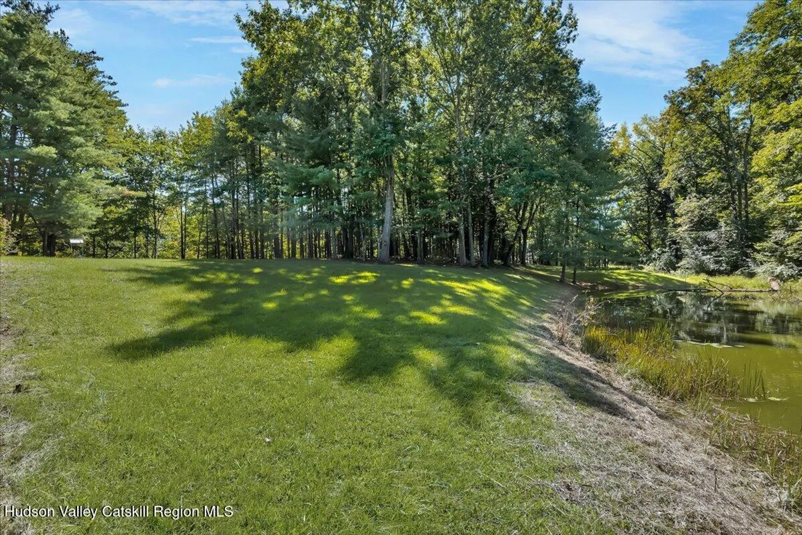 6196 New York 81 Photo 63