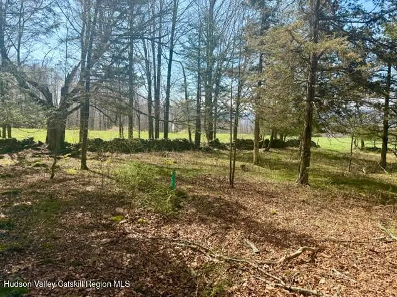 0 Van Etten Road Photo 13