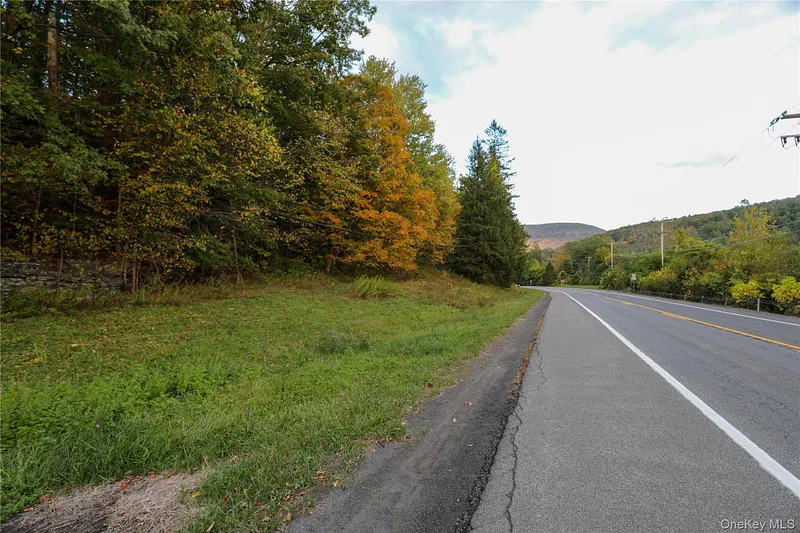 Tbd Ny-28 Route Photo 12