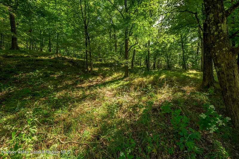 158 Knapp-carpenter Road Photo 45