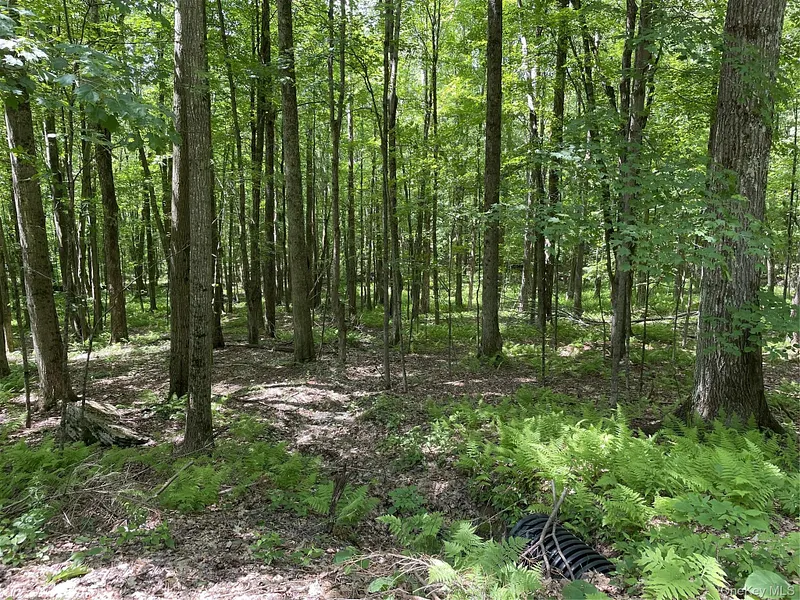 Skip Gray Road Photo 1
