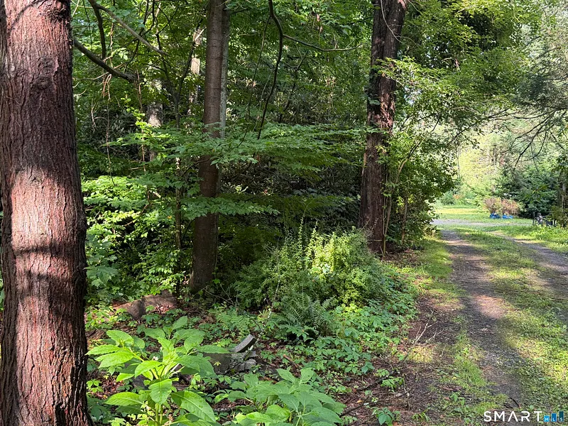 Wheeler Road Photo 4