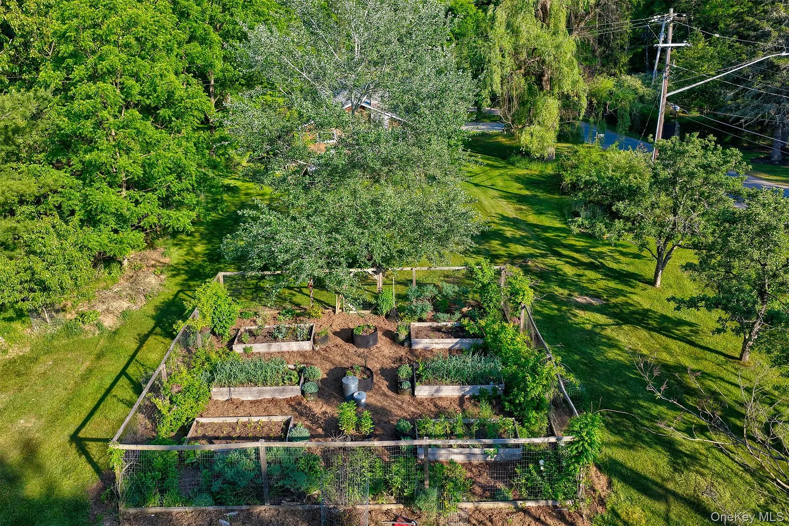 399 Delaware Drive Photo 29