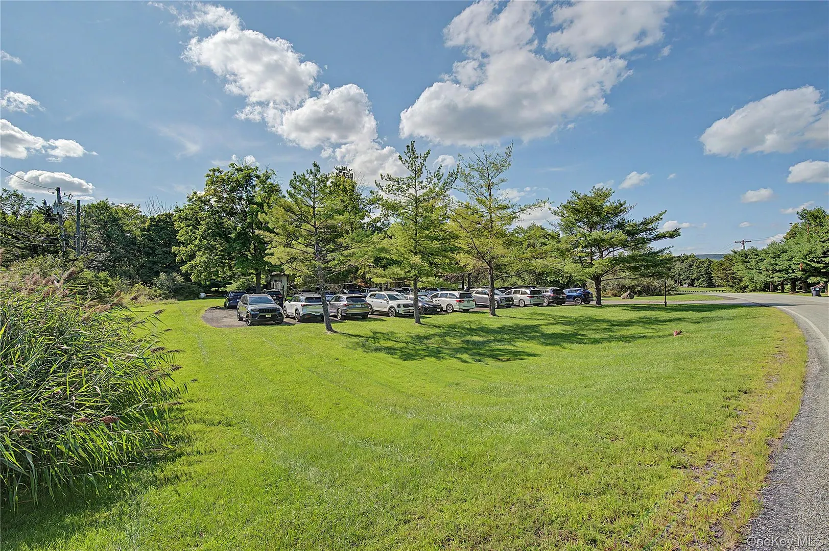 11 Abrams Road Photo 27