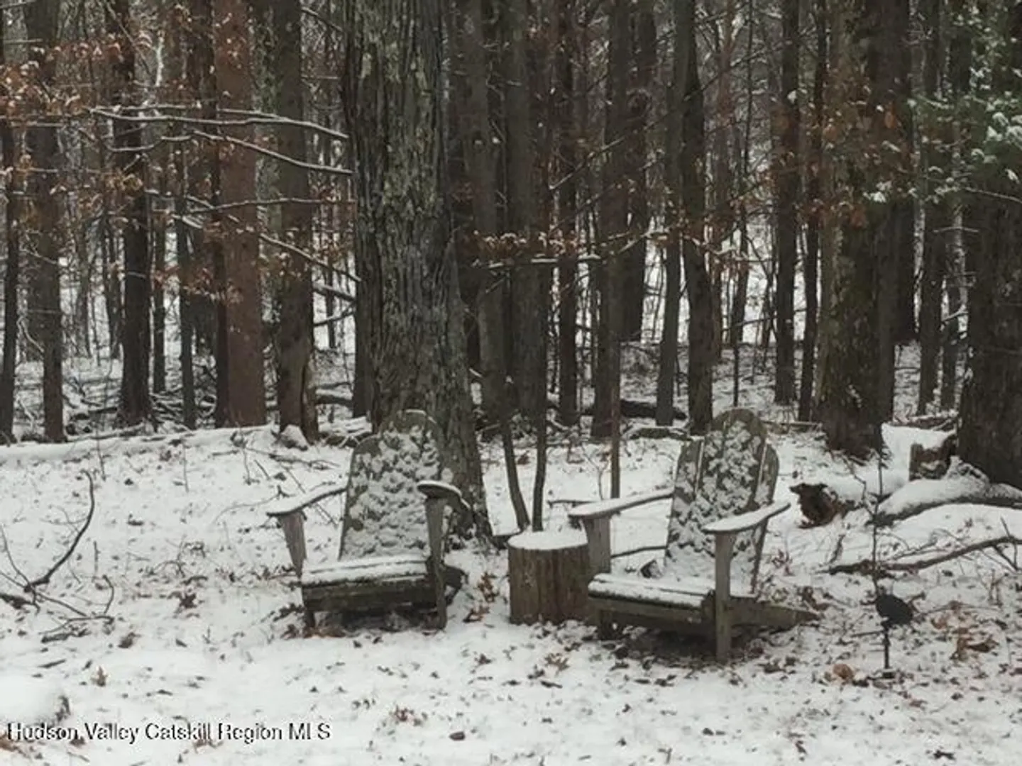 126 Storks Nest Road Photo 43