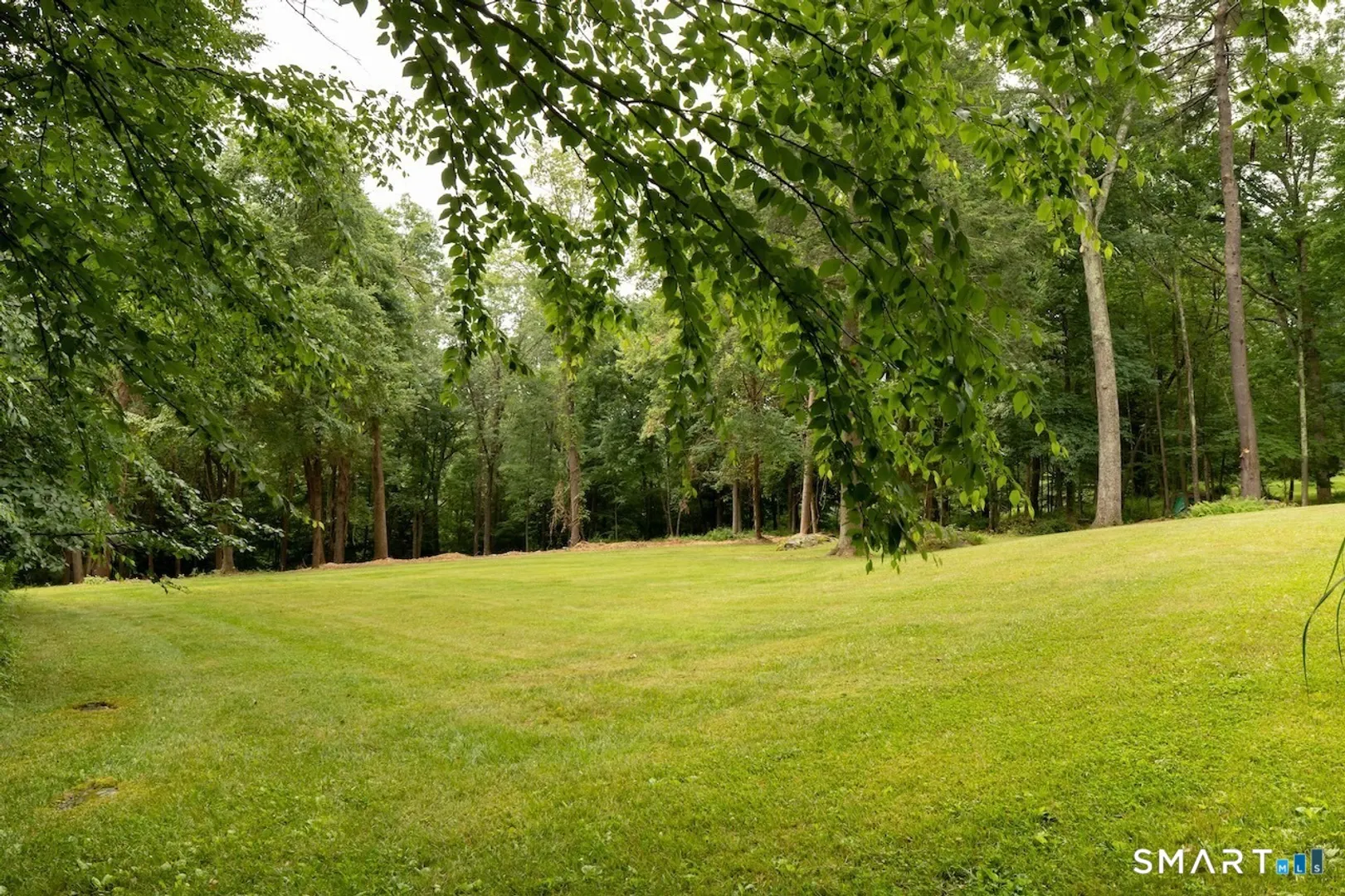 32 Burton Road Photo 14