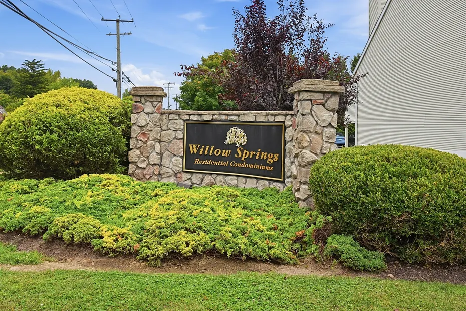 225 Willow Springs #225 Photo 27