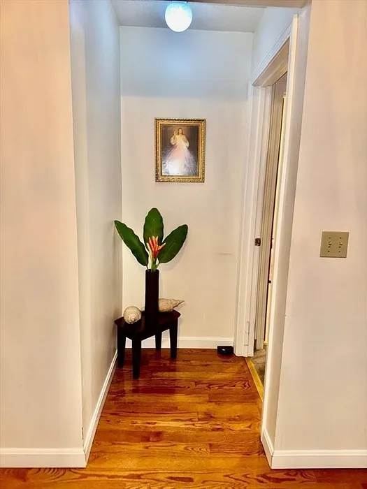 10 Wrentham Rd  #307 Photo 8