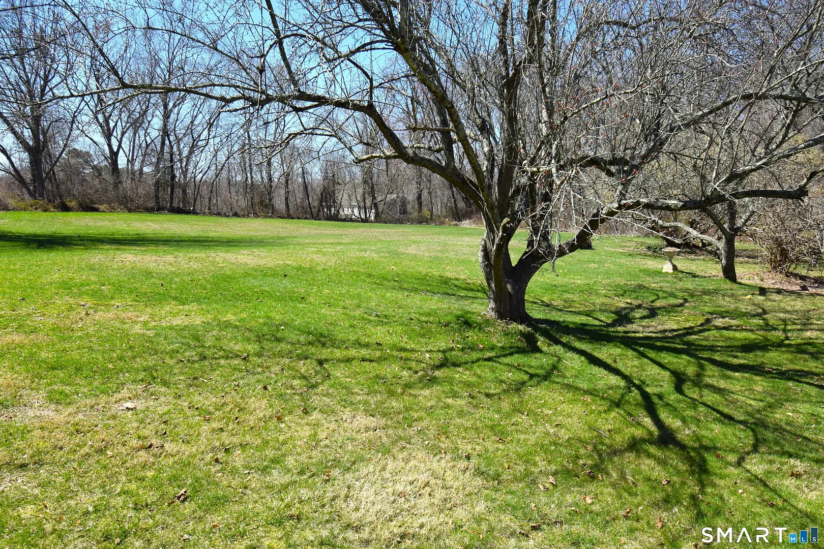 273 Horse Pond Road Photo 4