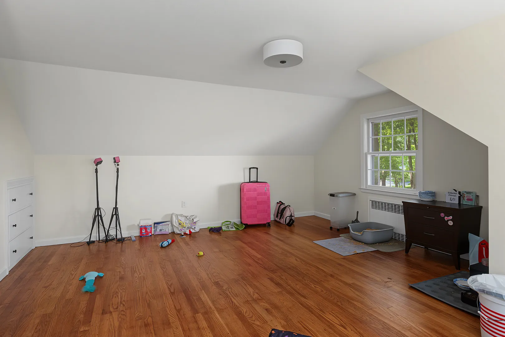 31 Pawson Road Photo 61