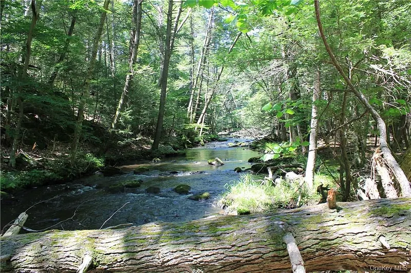 Rolling Meadow Lane Photo 3