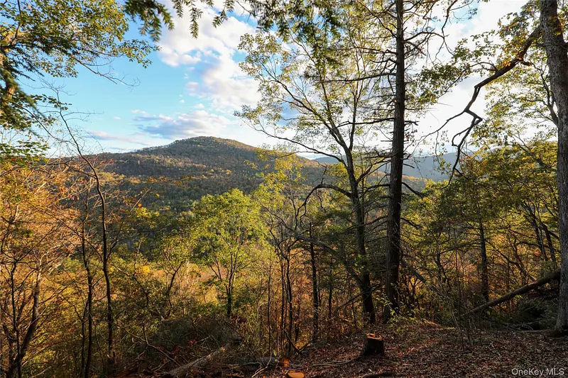 Tbd Ny-28 Route Photo 5
