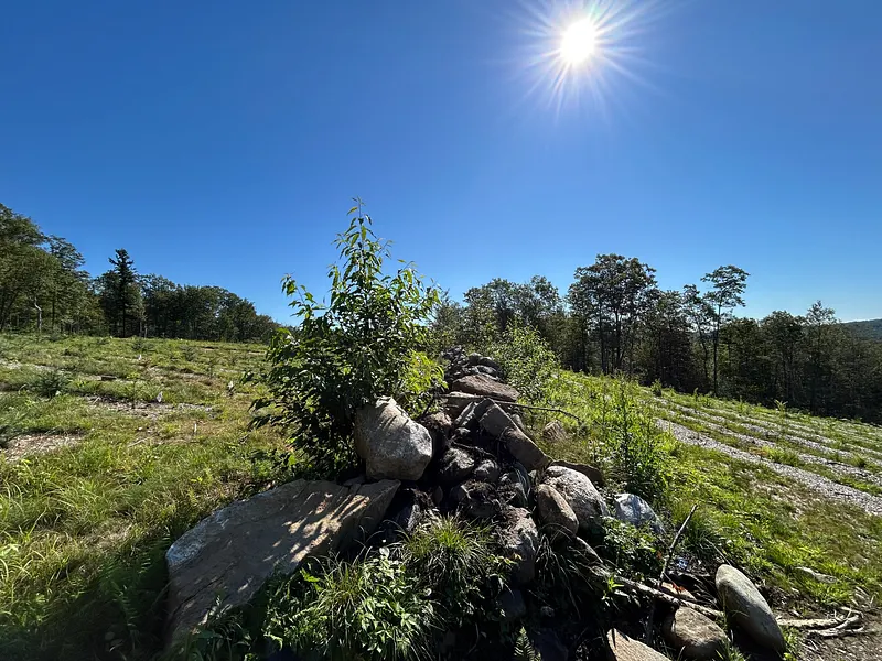00 Prock Hill Road Photo 5