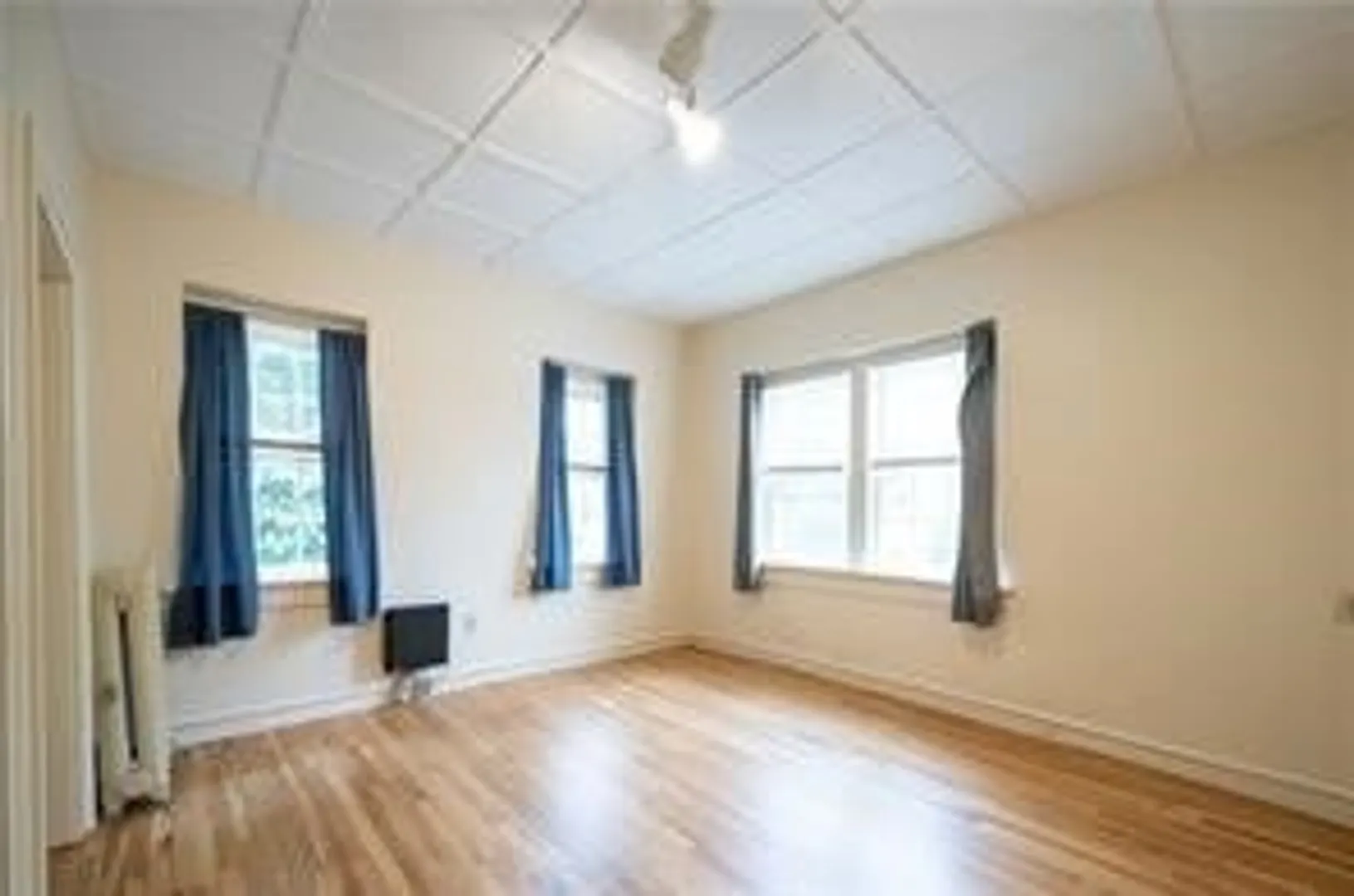 10 Hendricks Street #1 Photo 13