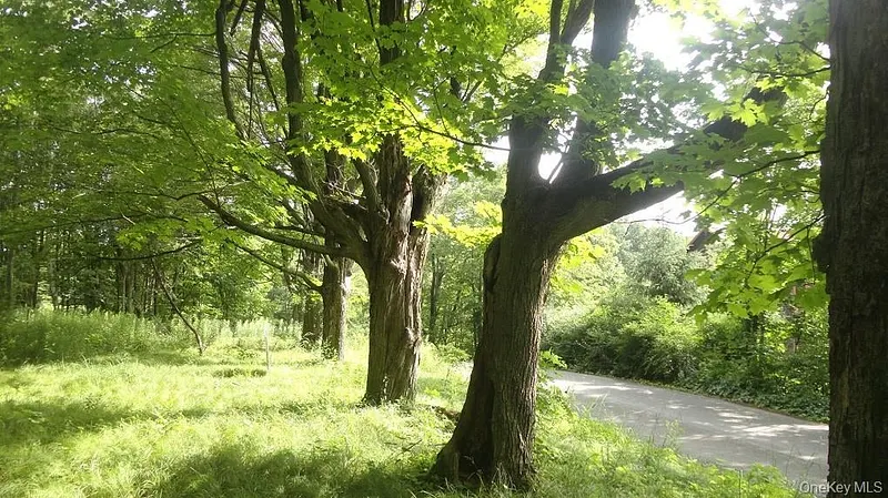 Henry Road Photo 8