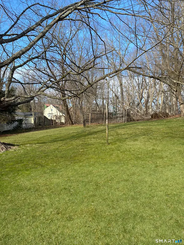 119 Kings Highway North Photo 5