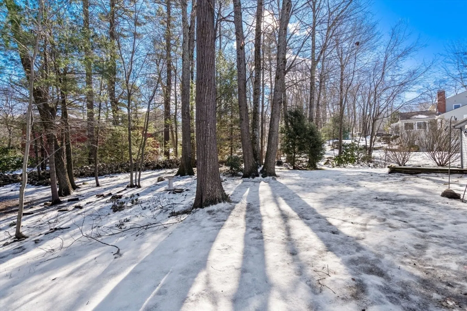 33 Brunnell Dr Photo 29