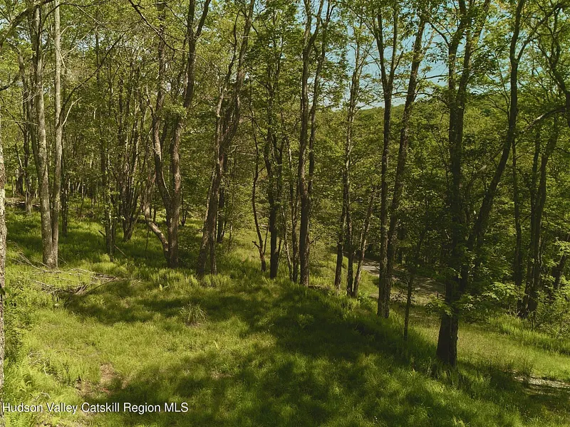 0 Benton Hollow Road Photo 10