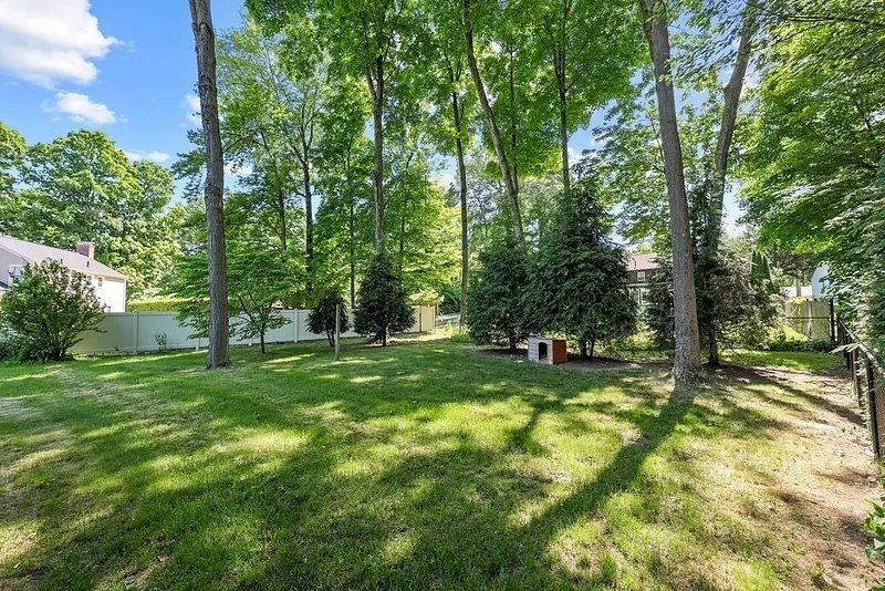 84 Brewster Rd Photo 35