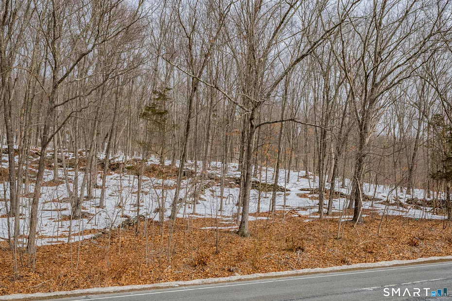 Frost Bridge Road Photo 26