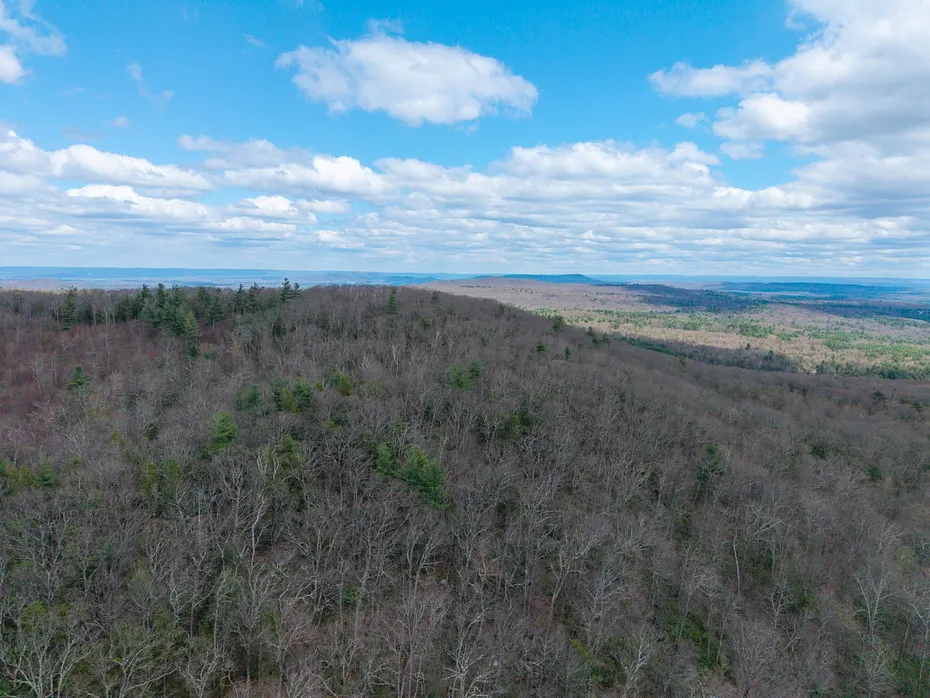 291 Fomer Road Photo 24
