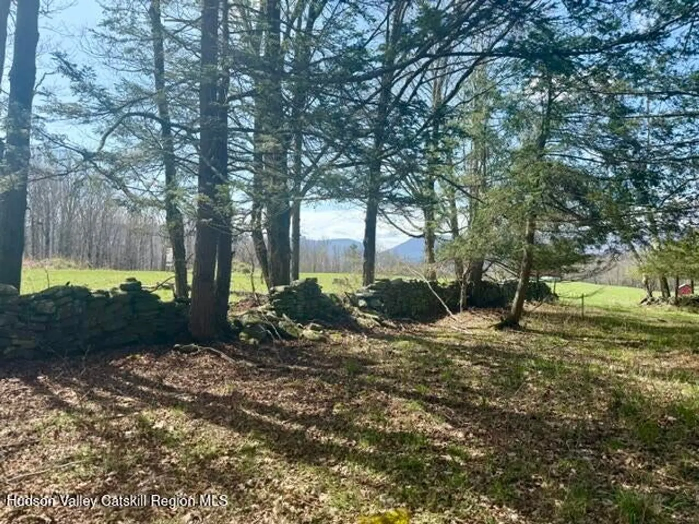0 Van Etten Road Photo 14