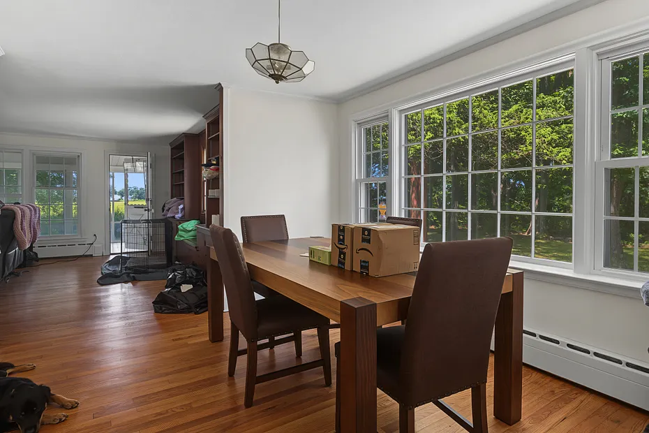 31 Pawson Road Photo 23