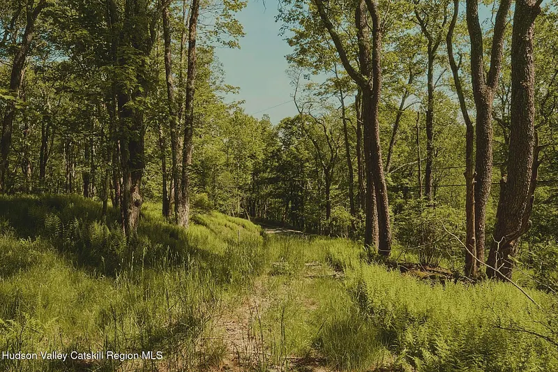 0 Benton Hollow Road Photo 6