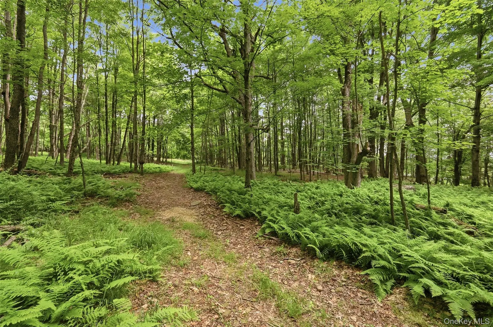115 Cold Spring Road Photo 25