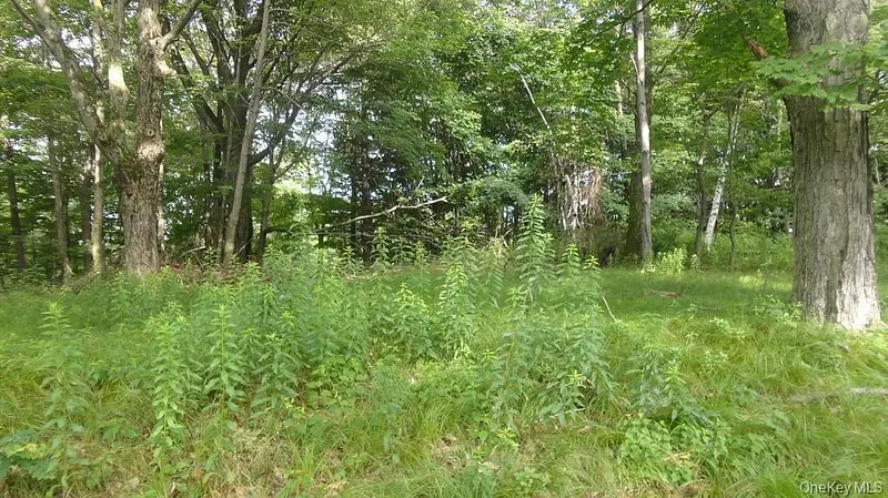Henry Road Photo 3
