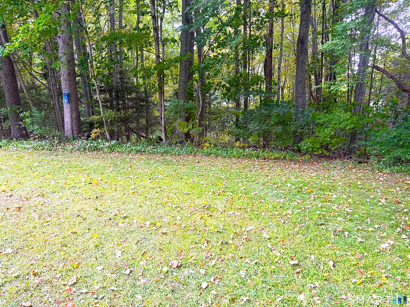 391 Main Street  #207 Photo 5