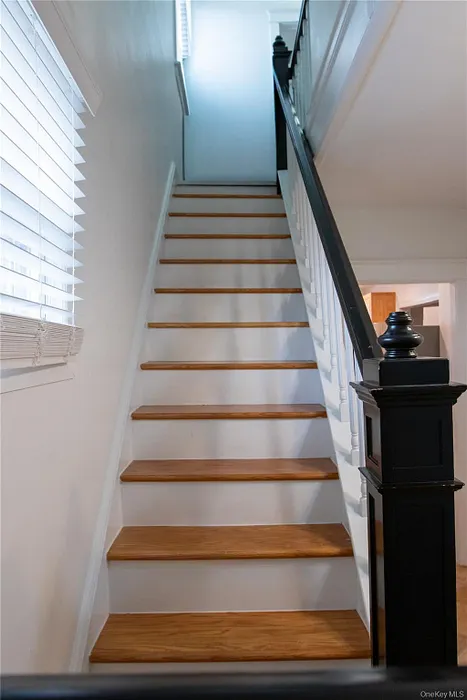 4810 Robertson Street Photo 7