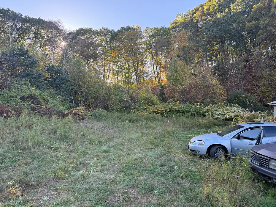 1490 Echo Lake Road Photo 4