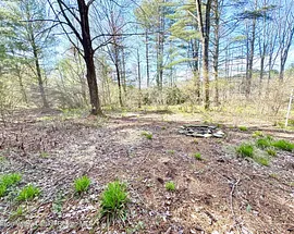 547 Glenford-wittenberg Road