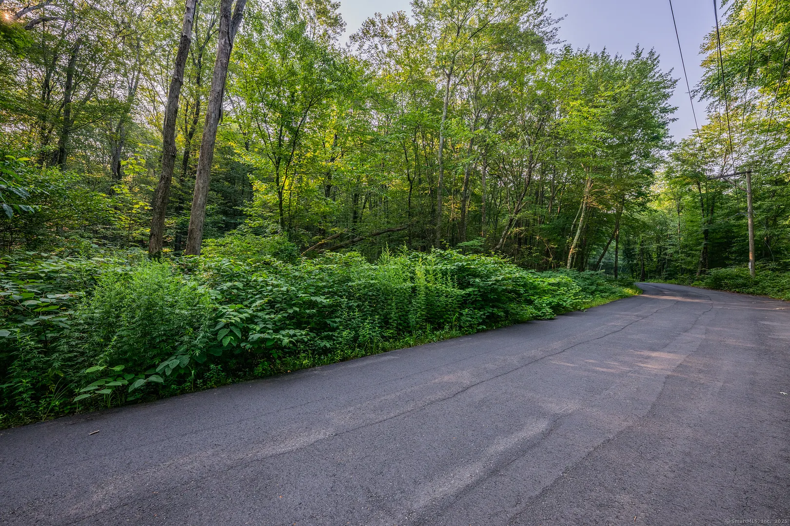 Frost Bridge Road Photo 20