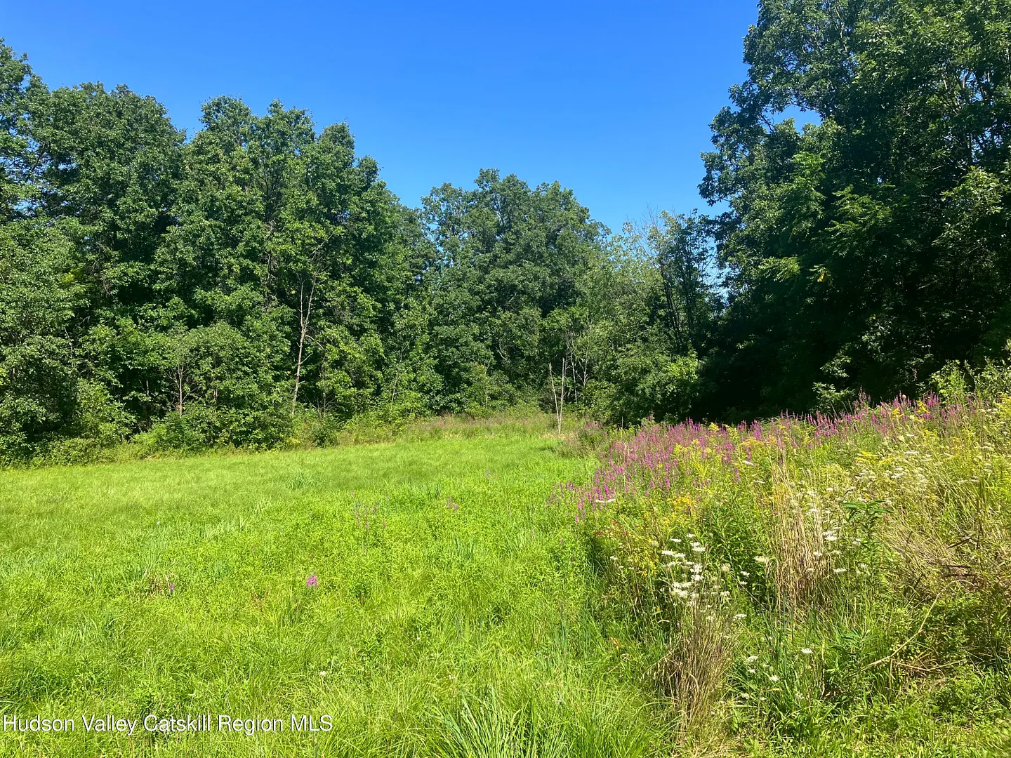 353 Vosenkill Road Photo 20