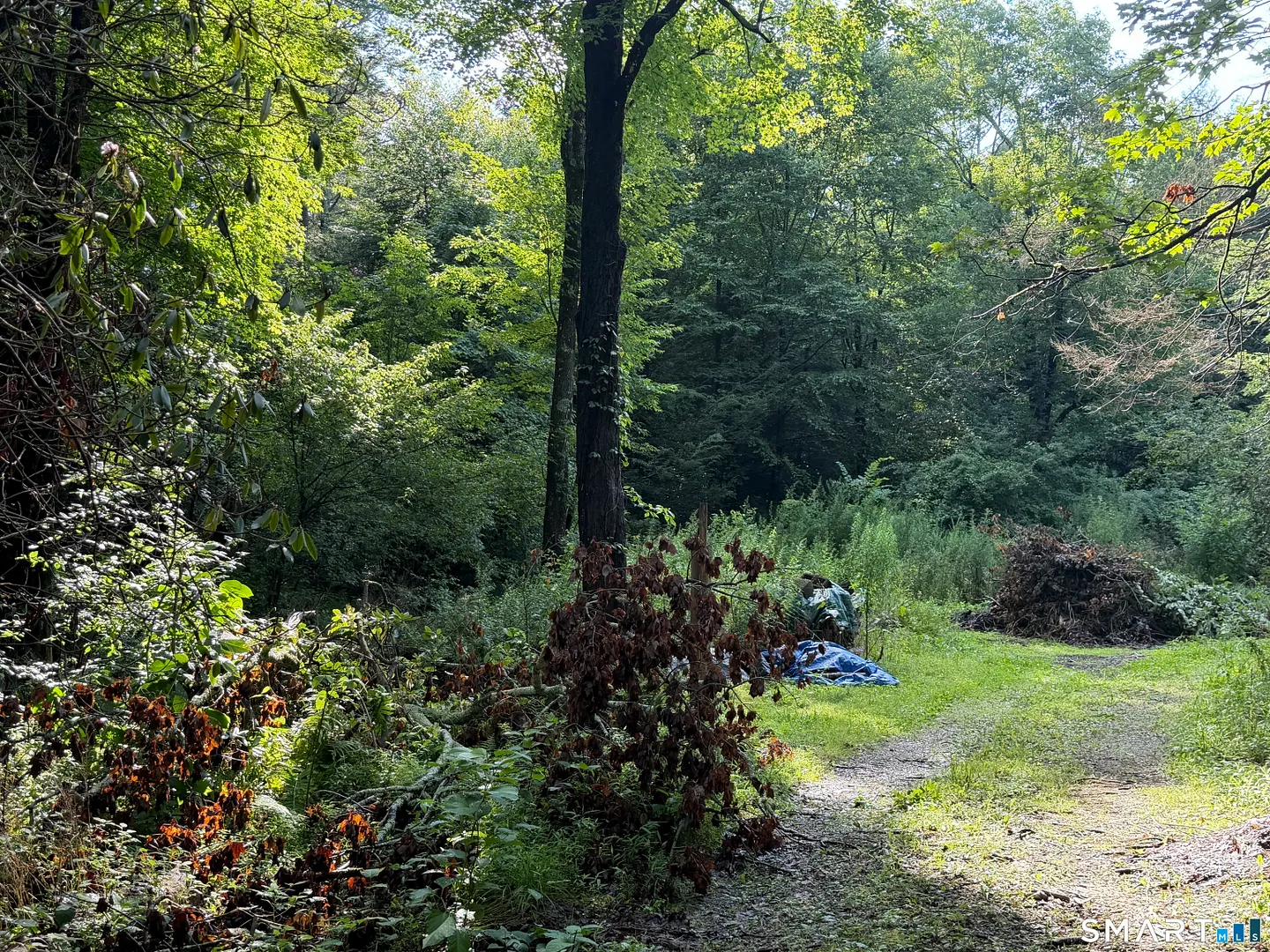 Wheeler Road Photo 6