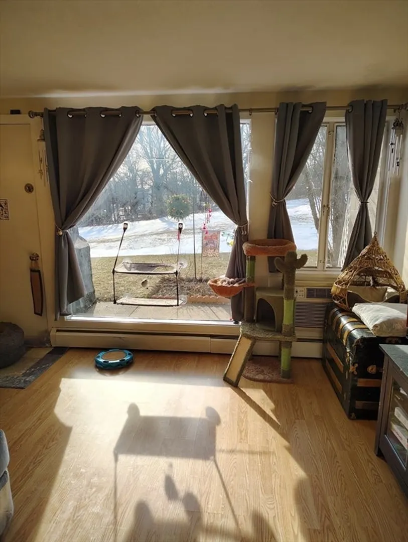 301 Neponset Street  #6 Photo 3