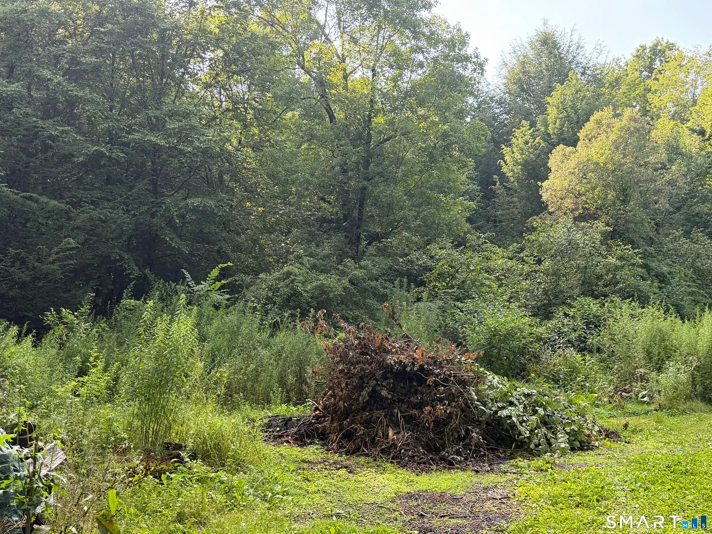 Wheeler Road Photo 2