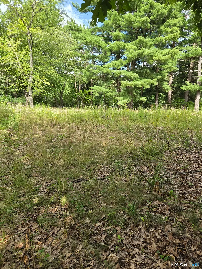 343 Neipsic Road Photo 1