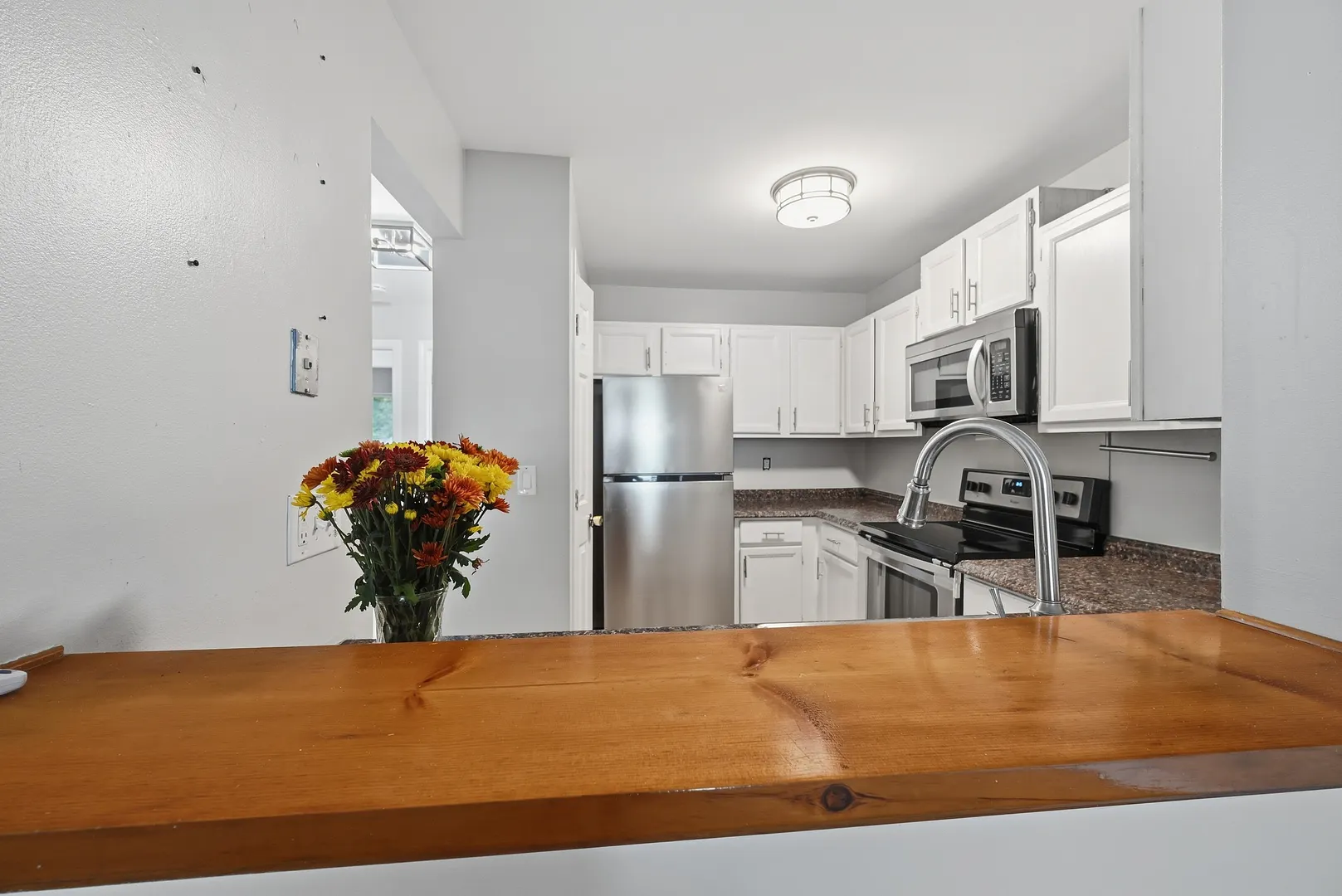 225 Willow Springs #225 Photo 11