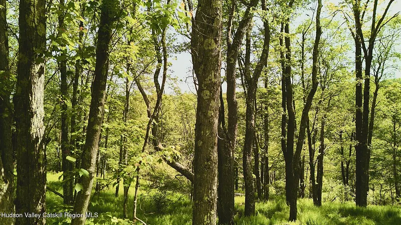 0 Benton Hollow Road Photo 2