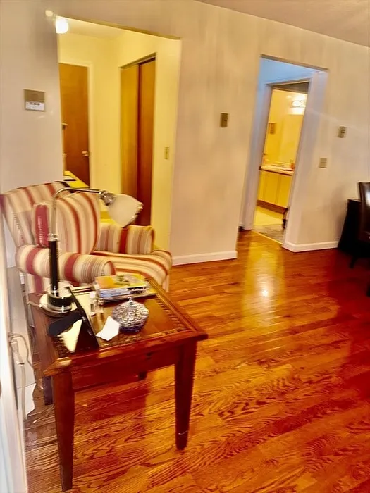 10 Wrentham Rd  #307 Photo 6