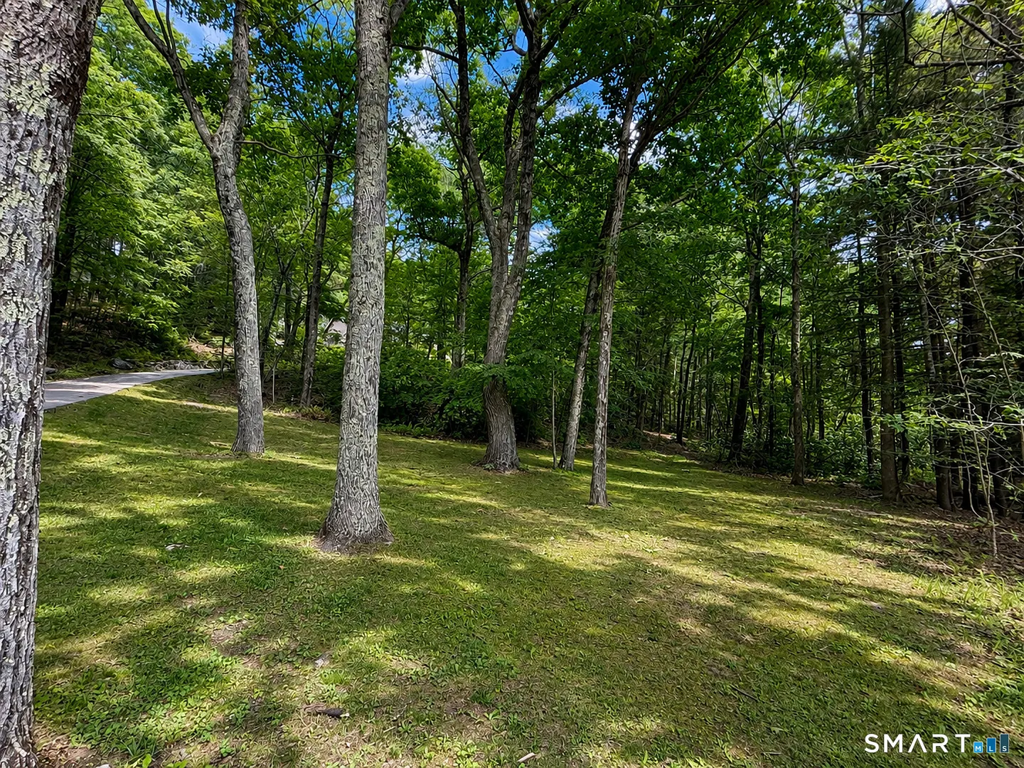 44 Pine Road Photo 35