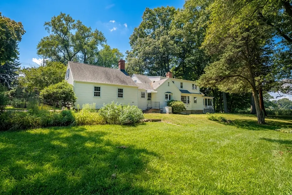 31 Pawson Road Photo 19