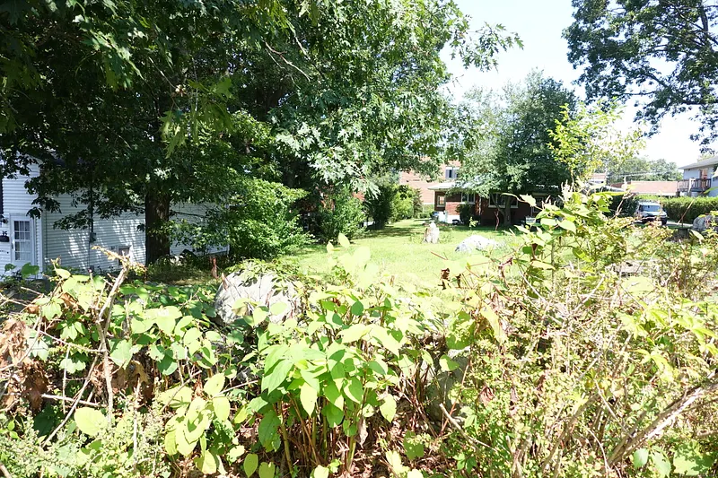 Miller Street Photo 7