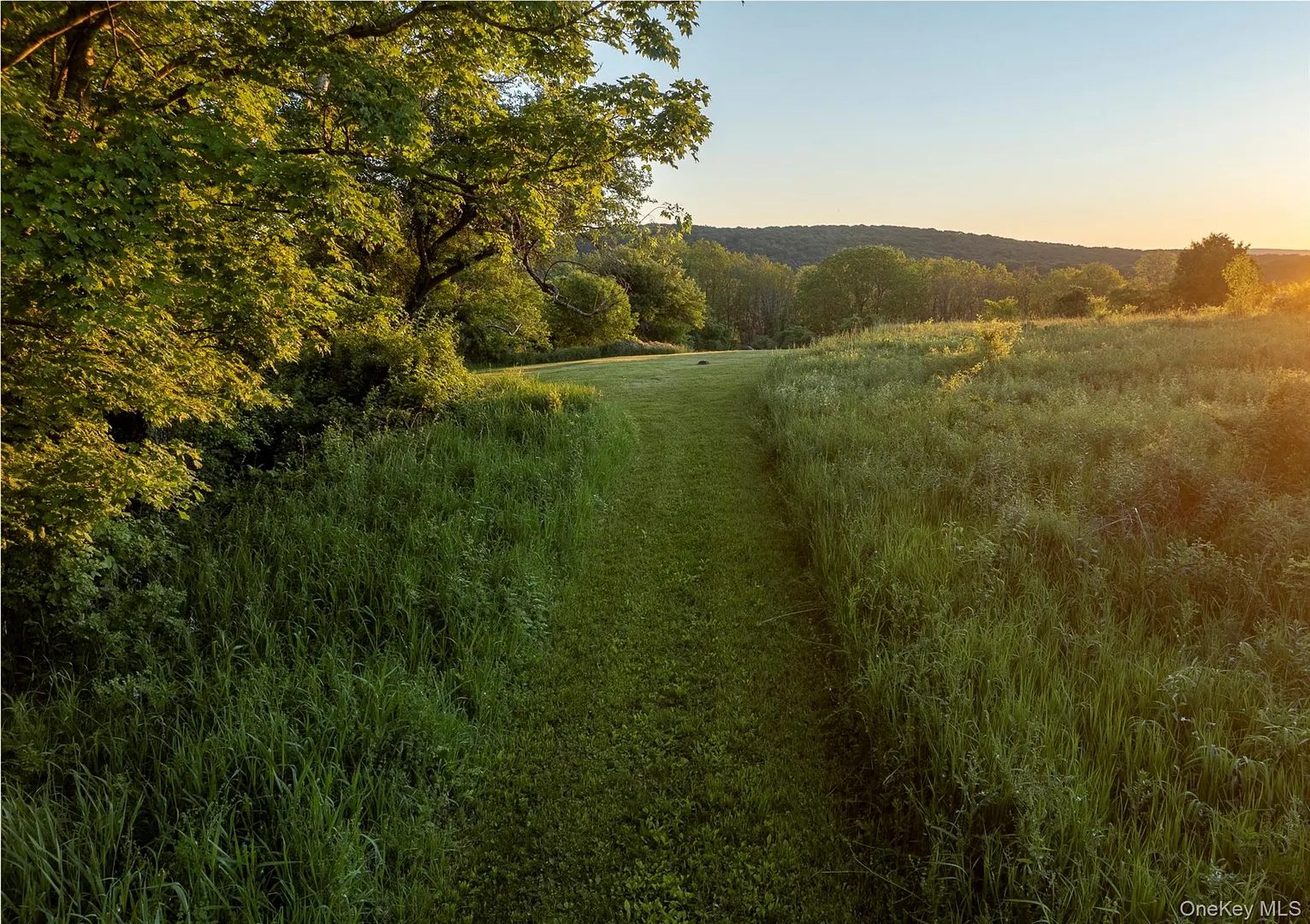 1504 Route 83 Photo 18