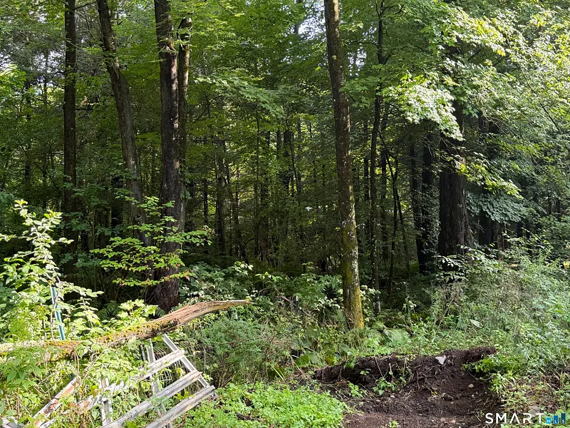 Wheeler Road Photo 3